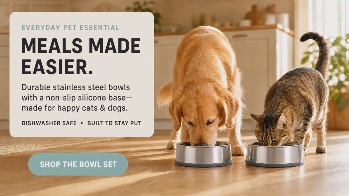 Golden retriever dog and tabby cat eating side by side from nonslip stainless steel pet bowls in a sunny kitchen